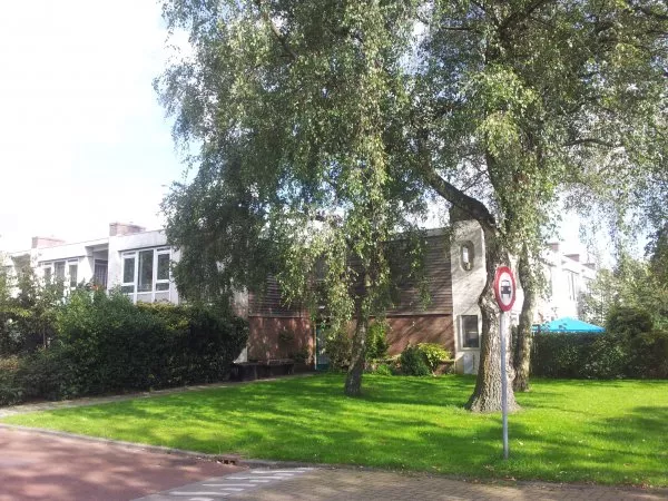 Afbeelding uit: september 2011. Hoek Einthovenstraat-Lorentzlaan, achterzijde huizen Eijkmanstraat.