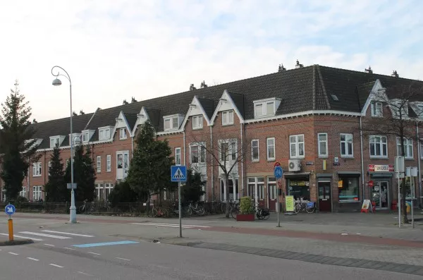 Afbeelding uit: januari 2014. Meeuwenlaan, hoek Ganzenweg (rechts).