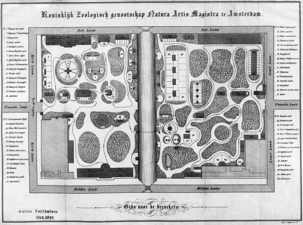 Afbeelding uit: 1854. Plattegrond uit circa 1854, uit de 'Gids voor bezoekers'. De Plantage Kerklaan is links.