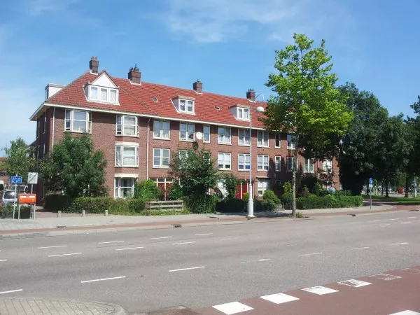Afbeelding uit: juli 2014. Meeuwenlaan.