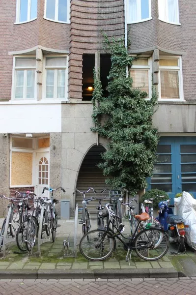 Afbeelding uit: december 2016. Portiek in de Tweede Helmersstraat.