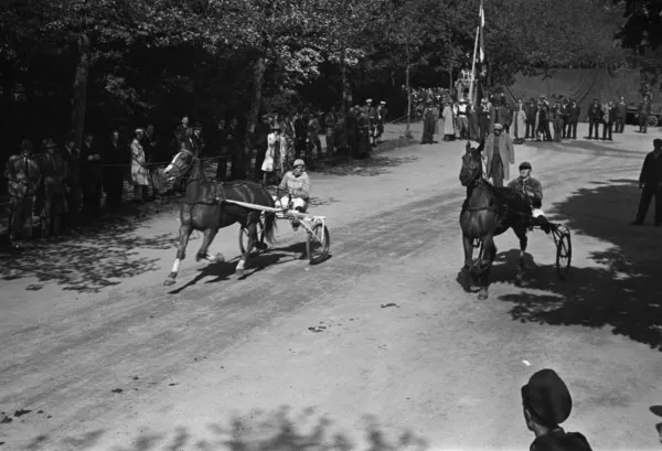 Afbeelding uit: mei 1946. Een draverij in het park.
