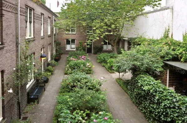 Afbeelding uit: juni 2009. De hof gezien vanuit het deel aan de Rozengracht.
Bron afbeelding: SAA, bestand 010122058361.