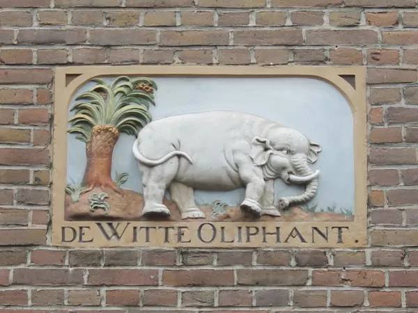 Afbeelding uit: juni 2017. De Witte Oliphant, de steen in de gevel aan de Nieuwe Batavierstraat waar de school naar vernoemd is. Afkomstig van een huis in de verdwenen Batavierstraat.