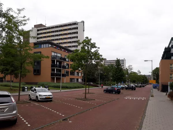 Afbeelding uit: augustus 2019. Situatie aan de Poeldijkstraat.