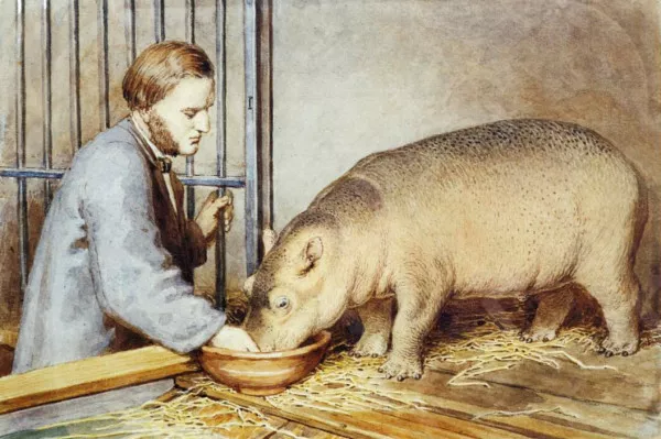 Afbeelding uit: 1865. G.F. Westerman voert Herman jr., het allereerste nijlpaard dat in een Europese dierentuin was geboren. De Duitse schilder Heinrich Leutemann (1824-1905) was speciaal naar Artis ontboden om de gebeurtenis vast te leggen.