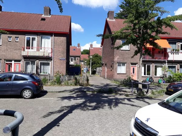 Afbeelding uit: juni 2020. Manenburgstraat, Swedenrijkpad.