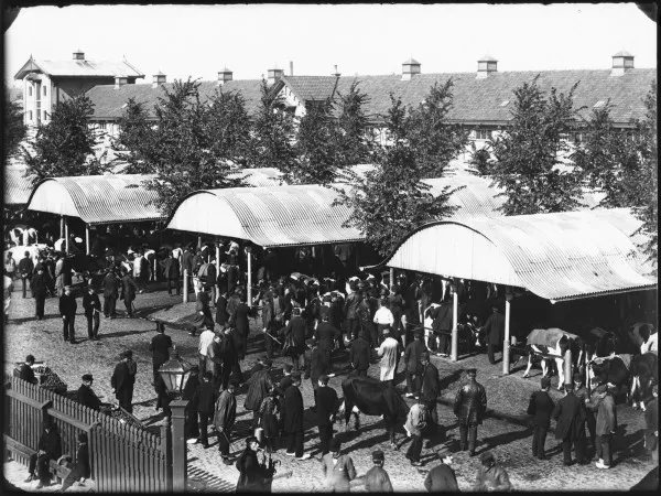 Afbeelding uit: 1890. De markt voor grootvee.
