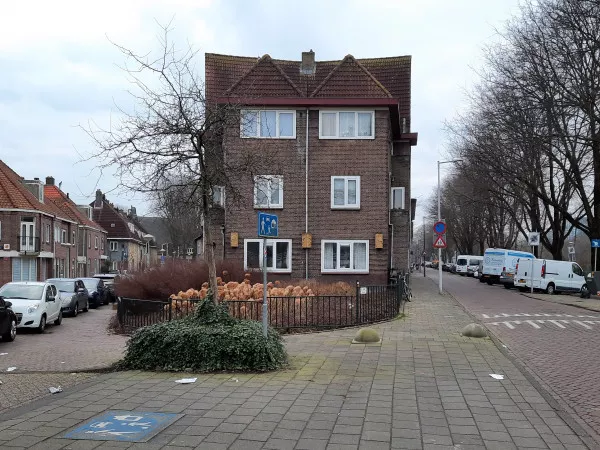 Afbeelding uit: januari 2022. De punthoek Eendenstraat (links) - Adelaarsweg.