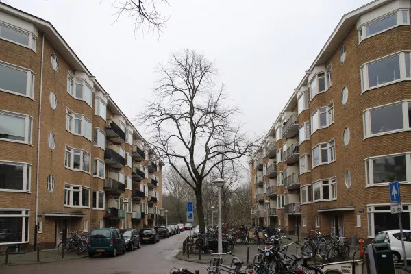 Afbeelding uit: maart 2022. Sanderijnstraat.