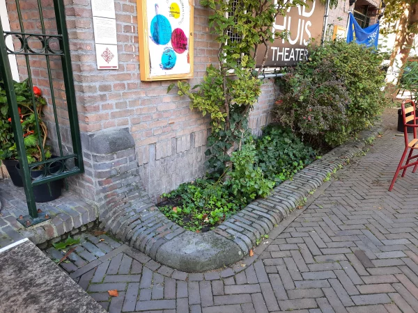 Afbeelding uit: september 2022. Sierlijk aangezet muurtje van een bak voor beplanting.