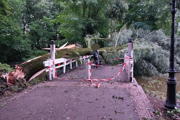 Afbeelding uit: juli 2023. De brug raakte bij een storm in juli 2023 beschadigd toen een boom, een schietwilg, op de leuningen viel. De brug werd snel hersteld.