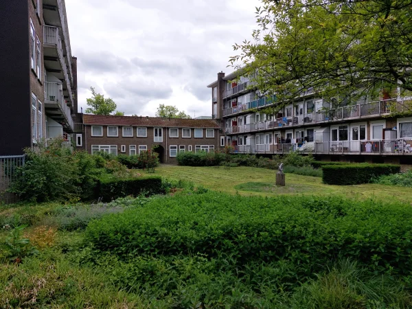 Afbeelding uit: juni 2024. Binnentuin van het oostelijke blok.