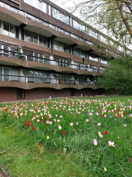Afbeelding uit: april 2024. Kattenburgerstraat, meest noordelijke blok.