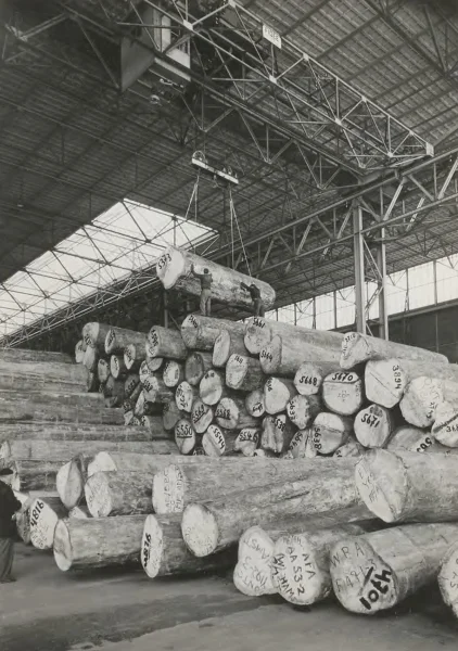 Afbeelding uit: circa 1960. Stammen stapelen in de loods.