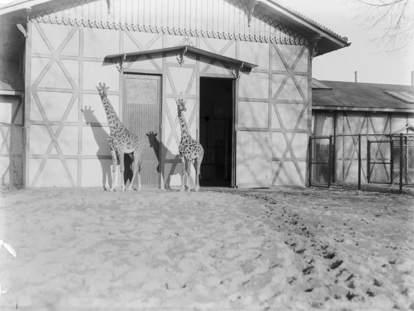 Afbeelding uit: 1933.