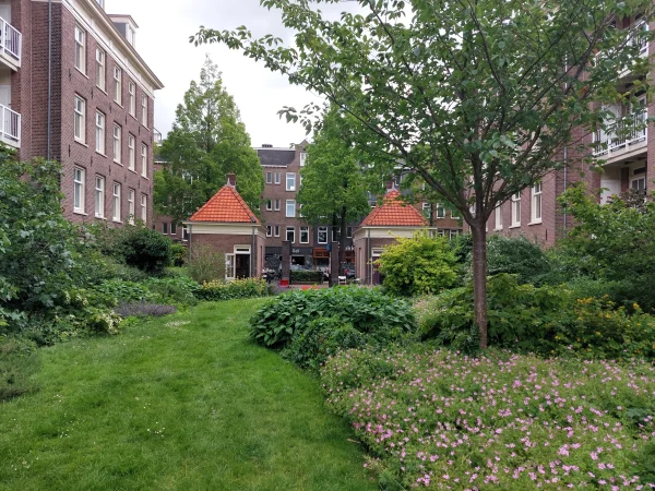 Afbeelding uit: juni 2026. De huisjes gezien vanuit de binnentuin.