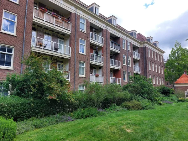 Afbeelding uit: juni 2026. Achterzijde van de huizen aan de Balistraat.