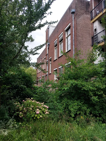 Afbeelding uit: juni 2026. Achterzijde.