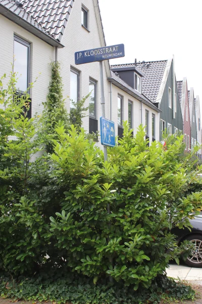 Afbeelding uit: juli 2026. In de wijk Elzenhagen is een straat vernoemd naar Kloos.