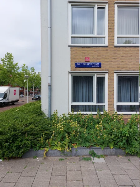 Afbeelding uit: juli 2026. In Geuzenveld is een straat vernoemd naar Van Hove.