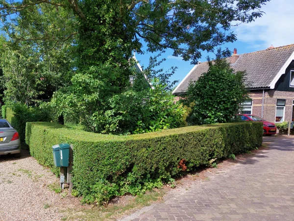 Afbeelding uit: juli 2026. Waar het huis stond is nu een tuin.