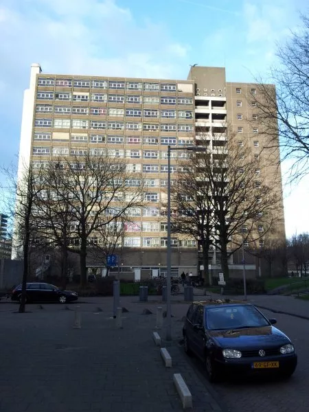 Afbeelding uit: januari 2012. Zuidgevel van de zuidelijke flat, gezien vanuit de Hoek van Hollandstraat.
