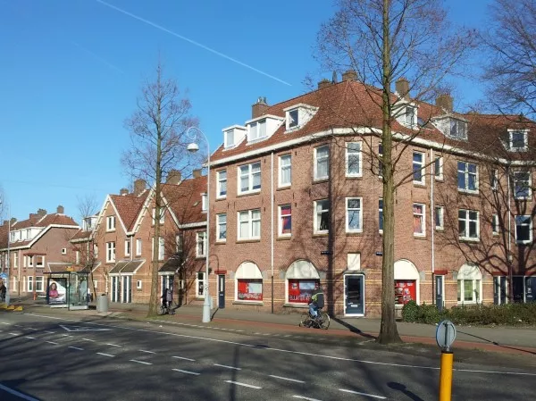 Afbeelding uit: maart 2012. Vóór de renovatie. Rechts het Van der Pekplein, links de -straat.