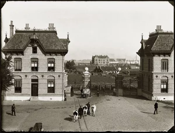 Afbeelding uit: 1890. De poortgebouwen en het hek, gezien vanuit het koffiehuis.