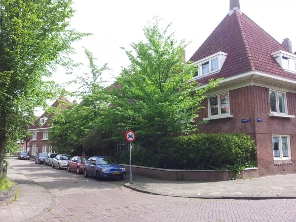 Afbeelding uit: mei 2012. Clematisstraat.